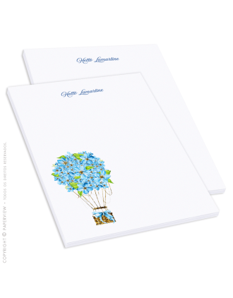 Daily Notes Allure Air