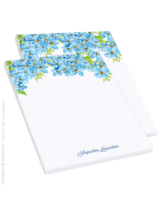 Daily Notes Allure Breeze